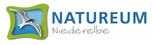 Natureum Niederelbe